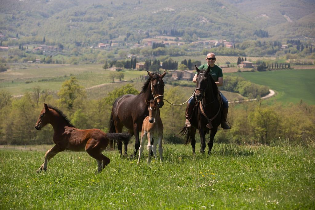 Città della Pieve Poggiovalle Tenuta Italiana المظهر الخارجي الصورة