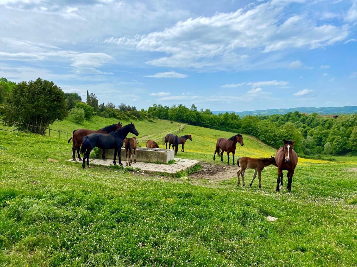 Città della Pieve Poggiovalle Tenuta Italiana المظهر الخارجي الصورة